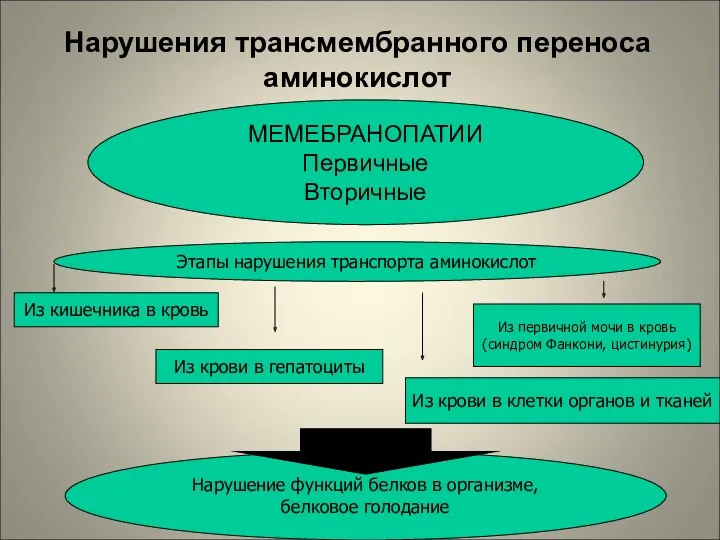 Нарушения трансмембранного переноса аминокислот МЕМЕБРАНОПАТИИ Первичные Вторичные Этапы нарушения транспорта