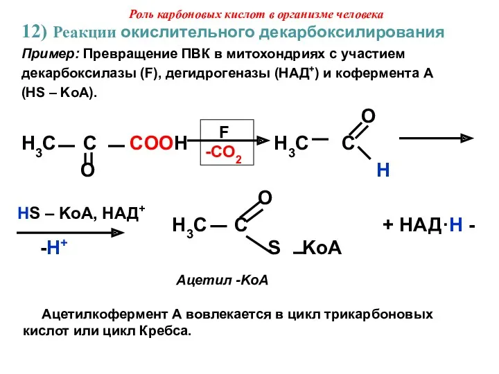 12) Реакции окислительного декарбоксилирования Пример: Превращение ПВК в митохондриях с