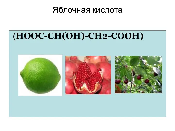 (НООС-СН(ОН)-СН2-СООН) Яблочная кислота