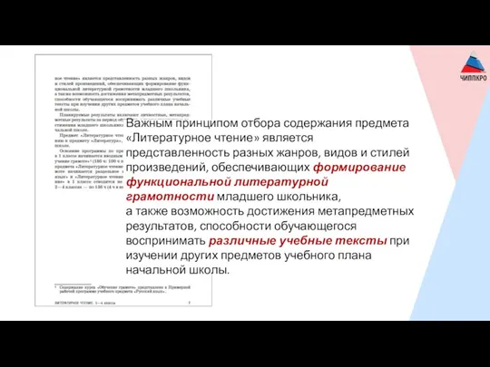 Важным принципом отбора содержания предмета «Литературное чтение» является представленность разных