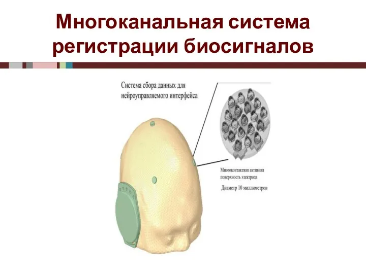 Многоканальная система регистрации биосигналов