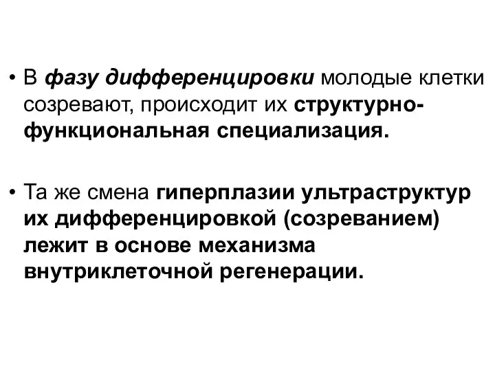 В фазу дифференцировки молодые клетки созревают, происходит их структурно-функциональная специализация.