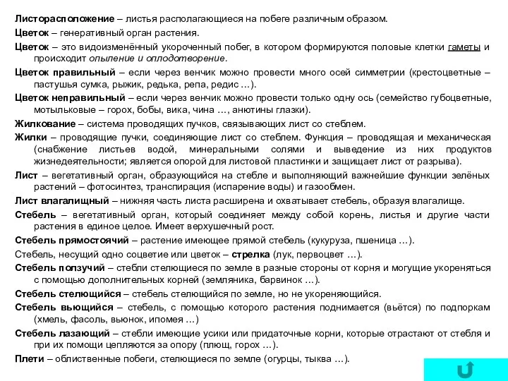 Листорасположение – листья располагающиеся на побеге различным образом. Цветок –