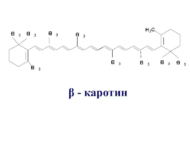 β - каротин