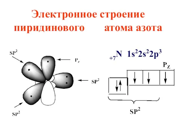 Электронное строение пиридинового атома азота +7N 1s22s22p3