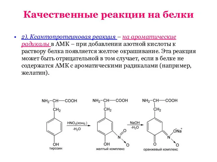 Качественные реакции на белки 2). Ксантопротеиновая реакция – на ароматические