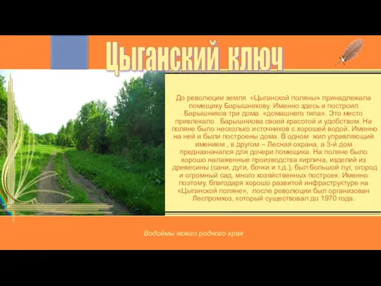 До революции земля «Цыганской поляны» принадлежала помещику Барышникову. Именно здесь