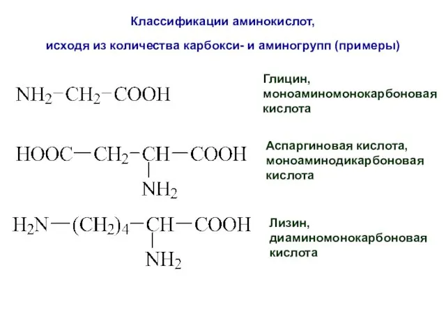 Классификации аминокислот, исходя из количества карбокси- и аминогрупп (примеры) Глицин, моноаминомонокарбоновая кислота Аспаргиновая