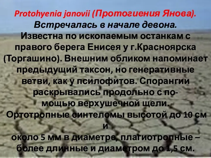 Protohyenia janovii (Протогиения Янова). Встречалась в начале девона. Известна по ископаемым останкам с