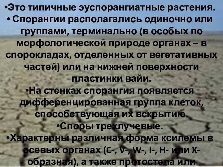 Это типичные эуспорангиатные растения. Спорангии располагались одиночно или группами, терминально (в особых по