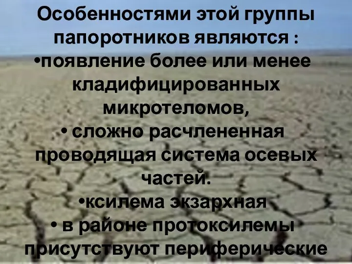 Особенностями этой группы папоротников являются : появление более или менее