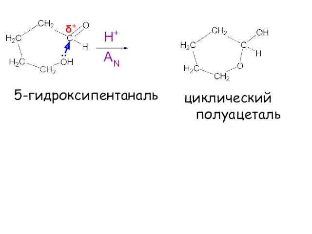 5-гидроксипентаналь Н+ .. δ+ циклический полуацеталь AN