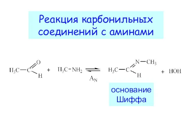 Реакция карбонильных соединений с аминами основание Шиффа