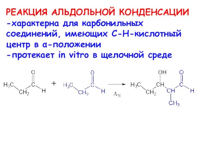 РЕАКЦИЯ АЛЬДОЛЬНОЙ КОНДЕНСАЦИИ -характерна для карбонильных соединений, имеющих C-H-кислотный центр в α-положении -протекает