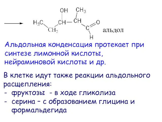 альдол Альдольная конденсация протекает при синтезе лимонной кислоты, нейраминовой кислоты и др. В