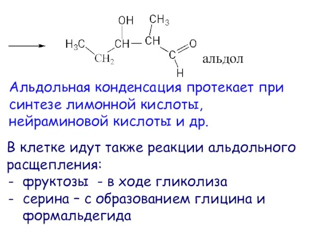 альдол Альдольная конденсация протекает при синтезе лимонной кислоты, нейраминовой кислоты