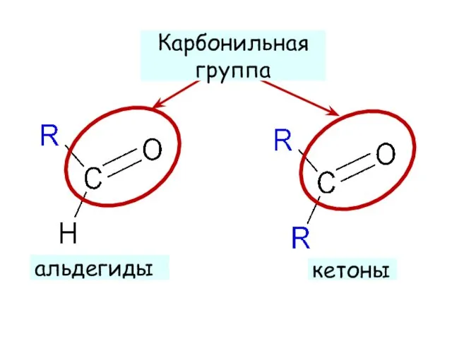 альдегиды кетоны Карбонильная группа