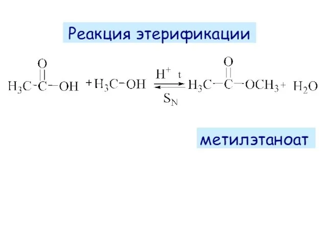 Реакция этерификации метилэтаноат