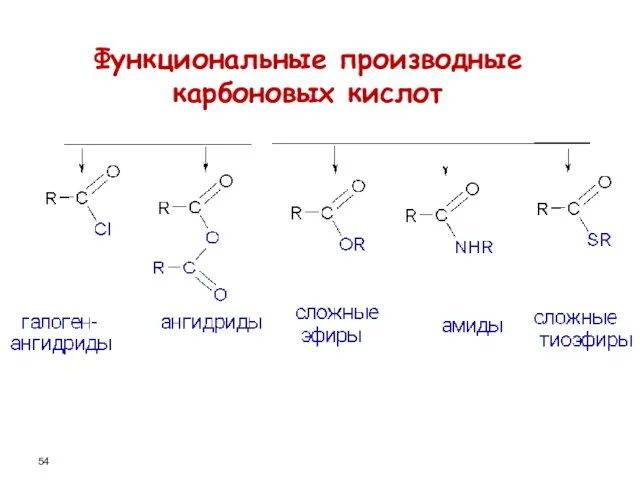Функциональные производные карбоновых кислот