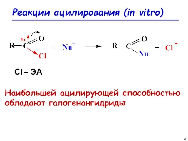 Реакции ацилирования (in vitro) δ+ Сl – ЭА Наибольшей ацилирующей способностью обладают галогенангидриды
