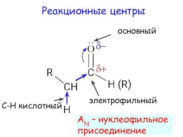 электрофильный Реакционные центры основный С-Н кислотный AN – нуклеофильное присоединение