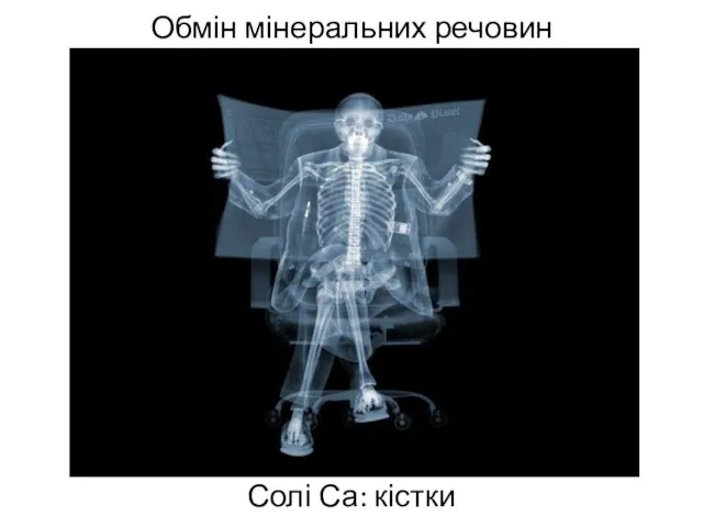 Обмін мінеральних речовин Солі Са: кістки