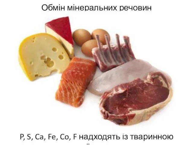 Обмін мінеральних речовин P, S, Ca, Fe, Co, F надходять із тваринною їжею