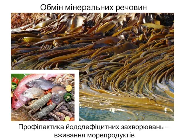 Обмін мінеральних речовин Профілактика йододефіцитних захворювань – вживання морепродуктів