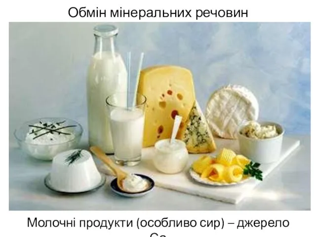 Обмін мінеральних речовин Молочні продукти (особливо сир) – джерело Са