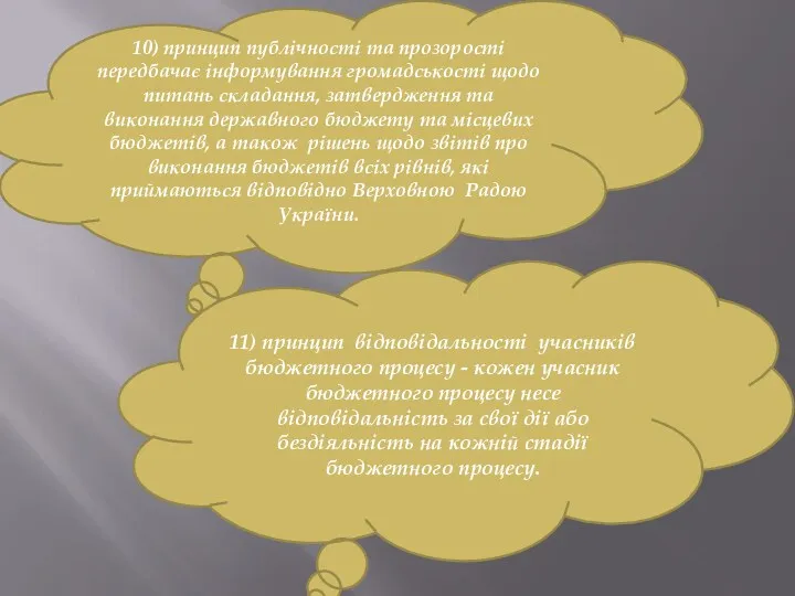 10) принцип публічності та прозорості передбачає інформування громадськості щодо питань