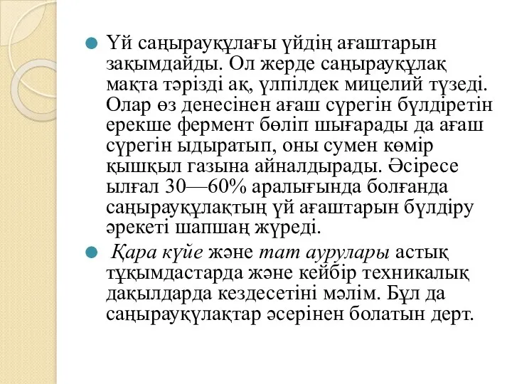 Үй саңырауқұлағы үйдің ағаштарын зақымдайды. Ол жерде саңырауқұлақ мақта тәрізді