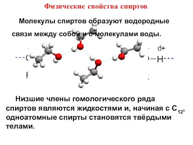 Физические свойства спиртов Низшие члены гомологического ряда спиртов являются жидкостями