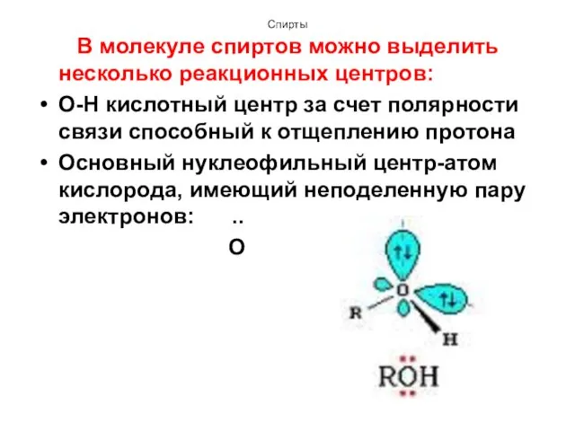 Спирты В молекуле спиртов можно выделить несколько реакционных центров: О-Н