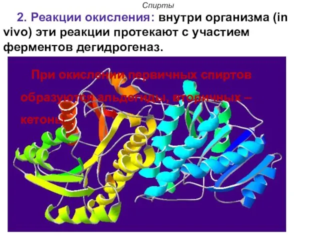 Спирты 2. Реакции окисления: внутри организма (in vivo) эти реакции