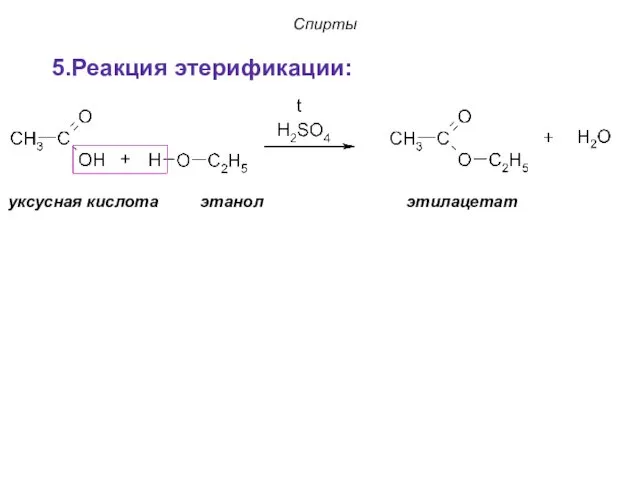 Спирты уксусная кислота этанол этилацетат 5.Реакция этерификации: