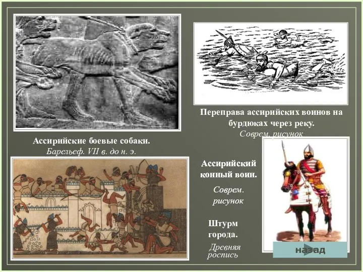 Ассирийские боевые собаки. Барельеф. VII в. до н. э. Переправа ассирийских воинов на