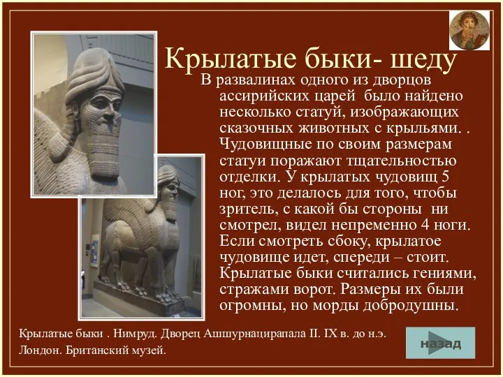 Крылатые быки- шеду В развалинах одного из дворцов ассирийских царей было найдено несколько