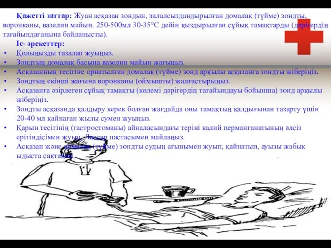 Қажетті заттар: Жуан асқазан зондын, залалсыздандырылған домалақ (түйме) зондты, воронканы,