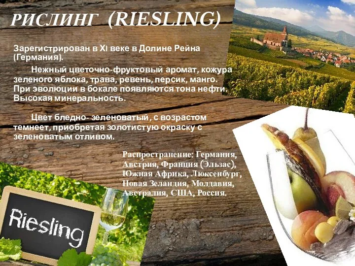 РИСЛИНГ (RIESLING) Зарегистрирован в ХI веке в Долине Рейна (Германия). Нежный цветочно-фруктовый аромат,