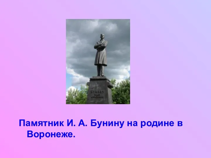 Памятник И. А. Бунину на родине в Воронеже.