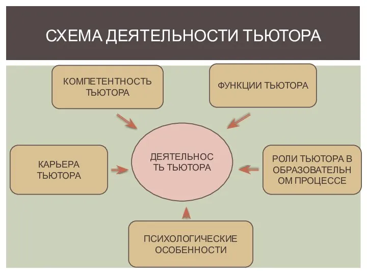 СХЕМА ДЕЯТЕЛЬНОСТИ ТЬЮТОРА ДЕЯТЕЛЬНОСТЬ ТЬЮТОРА КОМПЕТЕНТНОСТЬ ТЬЮТОРА ФУНКЦИИ ТЬЮТОРА КАРЬЕРА ТЬЮТОРА РОЛИ ТЬЮТОРА