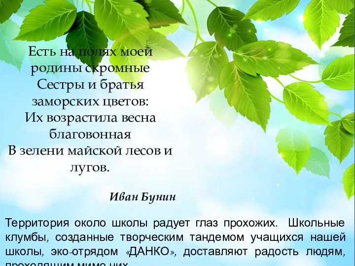 Каждый год, территория около школы радует глаз прохожих. Школьные клумбы,