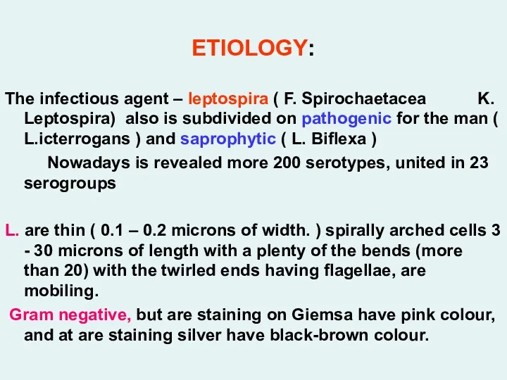 ETIOLOGY: The infectious agent – leptospira ( F. Spirochaetacea K. Leptospira) also is