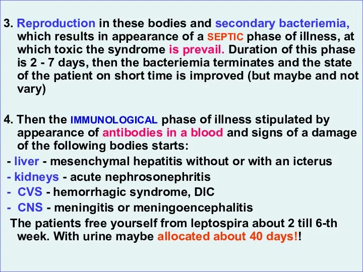 3. Reproduction in these bodies and secondary bacteriemia, which results in appearance of