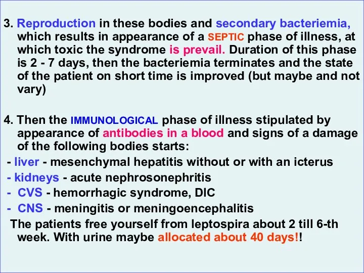 3. Reproduction in these bodies and secondary bacteriemia, which results