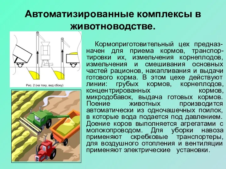 Автоматизированные комплексы в животноводстве. Кормоприготовительный цех предназ-начен для приема кормов,