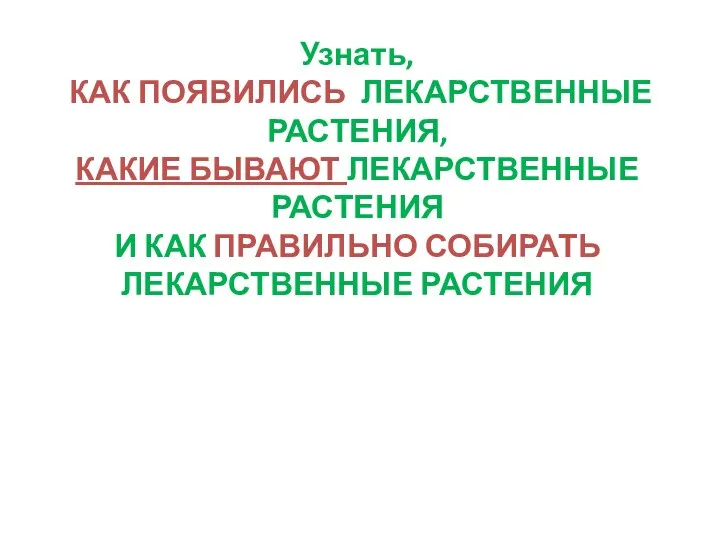 Узнать, КАК ПОЯВИЛИСЬ ЛЕКАРСТВЕННЫЕ РАСТЕНИЯ, КАКИЕ БЫВАЮТ ЛЕКАРСТВЕННЫЕ РАСТЕНИЯ И КАК ПРАВИЛЬНО СОБИРАТЬ ЛЕКАРСТВЕННЫЕ РАСТЕНИЯ