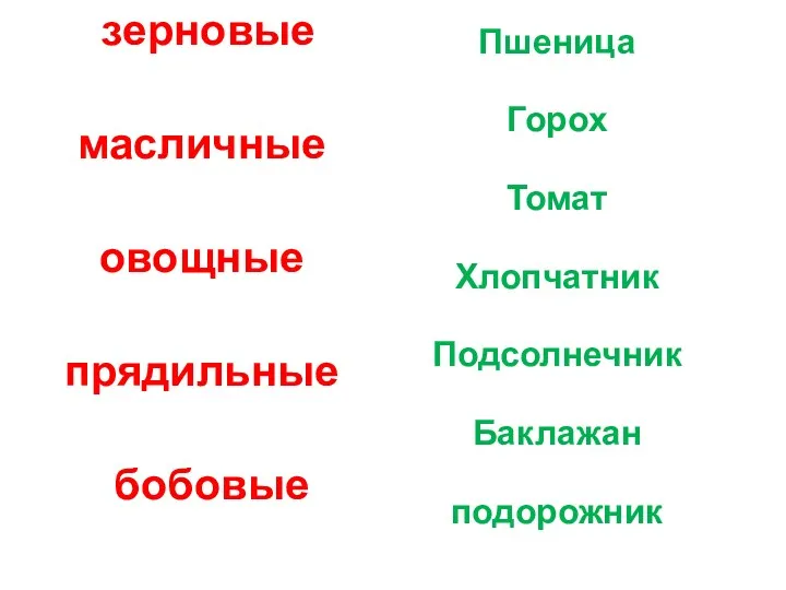 зерновые масличные овощные прядильные бобовые Пшеница Горох Томат Хлопчатник Подсолнечник Баклажан подорожник