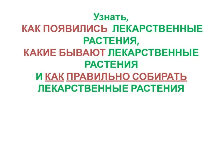 Узнать, КАК ПОЯВИЛИСЬ ЛЕКАРСТВЕННЫЕ РАСТЕНИЯ, КАКИЕ БЫВАЮТ ЛЕКАРСТВЕННЫЕ РАСТЕНИЯ И КАК ПРАВИЛЬНО СОБИРАТЬ ЛЕКАРСТВЕННЫЕ РАСТЕНИЯ