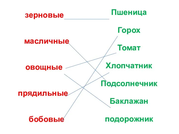 зерновые масличные овощные прядильные бобовые Пшеница Горох Томат Хлопчатник Подсолнечник Баклажан подорожник